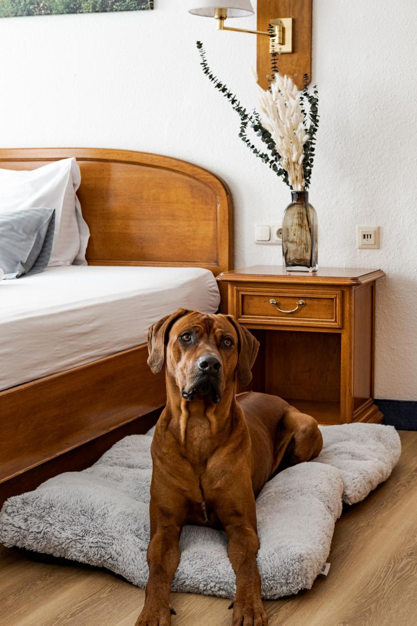 Hotel Goldener Hirsch Kaufbeuren Ngoại thất bức ảnh
